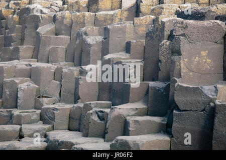 Bett von vulkanischen Felsen sechseckigen Basaltsäulen am Giant's Causeway Coast - das Weltnaturerbe in Bushmills Antrim Nordirland Stockfoto