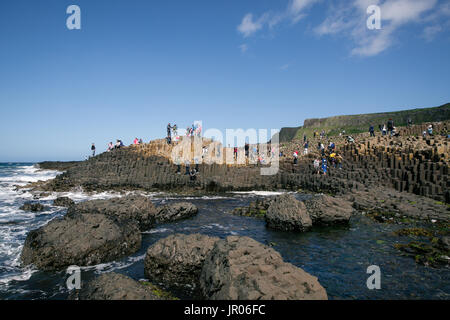 Touristen klettern Basaltsäulen am Giant's Causeway Causeway Coast mit Port Reostan Aussichtspunkt im Hintergrund Antrim Nordirland Stockfoto