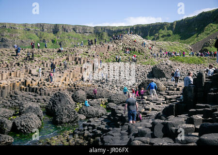 Touristen klettern Giant's Causeway vulkanischen Felsen in Bushmills Antrim Nordirland Stockfoto