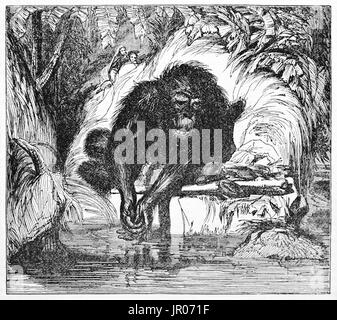Alten gravierte Darstellung der Orang-Utan (Pongo Pygmaeus). Von unbekannter Autor veröffentlicht am Magasin Pittoresque, Paris, 1833. Stockfoto
