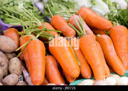 Freien Markt auf den Philippinen. Stockfoto