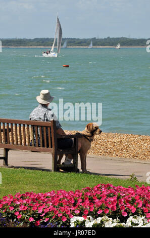 Ein älterer Mann oder ältere Mann mit seinem Hund sitzen auf einer Bank am Strand oder Meer beobachten die Segeln neben einem Bett von bunten Blumen. Stockfoto