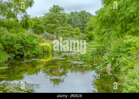 Üppigen grünen Farben und Ruhe in der Wasser-Garten auf dem Gelände des Beth Chatto Gardens, Elmstead, Essex, England. Stockfoto