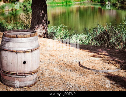 Napa Valley, Kalifornien, 3. Oktober 2010: Abendlicht auf akribisch gepflegten Weinbergen als die Erntezeit im Weinland beginnt. Stockfoto