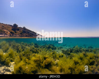 Halb unter Wasser im Meer mit Moos. Stockfoto