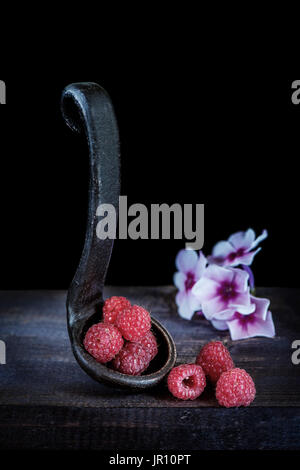 Reife Himbeeren in eine Schale aus Ton mit den Farben der Phlox auf hölzernen Hintergrund isoliert auf schwarz. Stockfoto