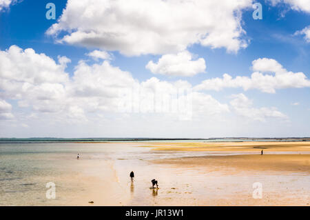 Meer bei Ebbe mit Menschen Herzmuschel Kommissionierung und spazieren am Strand unter blauem Himmel voller Wolken weiß. Stockfoto