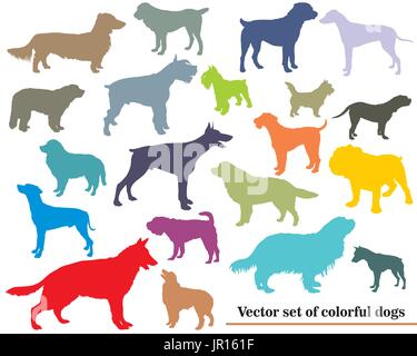 Vektor-Set von bunten isoliert verschiedener Rassen Hunde Silhouetten auf weißem Hintergrund Stock Vektor