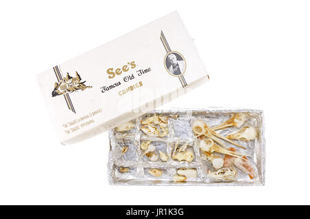 Sammlung von kleinen Tierschädel, gespeichert in einer Candy-Box. Stockfoto