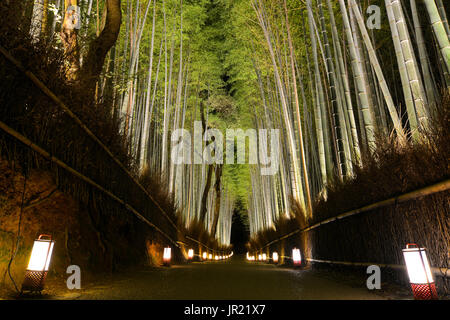 Romantischen Pfad durch Bambus Wald von Laternen während Arashiyama Hanatouro Festival in Kyoto beleuchtet Stockfoto