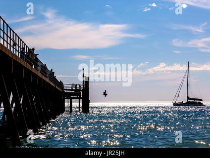 Jugend Sprung ins Meer von Glenelg Anlegestelle in South Australia Stockfoto