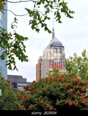 Die Zeichen für das Colcord Hotelgebäude und der First National Center-Turm im Zentrum von Oklahoma City sind aus der Ferne durch Bäume angesehen. Stockfoto