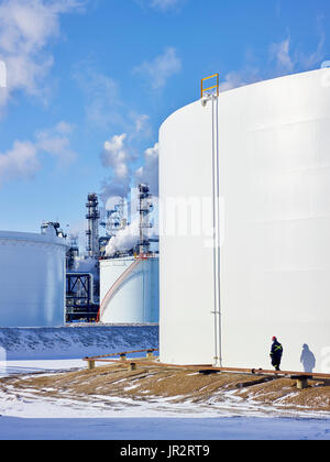 Handwerker arbeiten an einem großen, weißen Lagertank; Edmonton, Alberta, Kanada Stockfoto