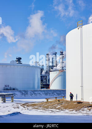 Handwerker arbeiten an einem großen, weißen Lagertank; Edmonton, Alberta, Kanada Stockfoto