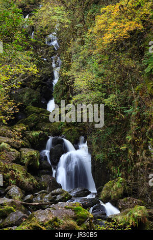 Lodore fällt.  Ein Wasserfall unweit Derwentwater, Cumbria im englischen Lake District National Park. Stockfoto