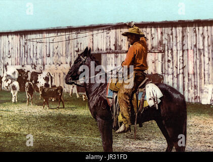 Die historischen amerikanischen Cowboys aus dem späten 19. Jahrhundert entstand aus der Vaquero Tradition von Nordmexiko und wurde eine Abbildung von besonderer Bedeutung und Legende. Durch den späten 1860ern west kam nach dem amerikanischen Bürgerkrieg und den Ausbau der Viehwirtschaft, ehemalige Soldaten der Union und der Konföderation, Arbeitssuche als viele rastlose weiße Männer im Allgemeinen haben. Eine beträchtliche Anzahl von afroamerikanischen freigelassenen wurden auch Cowboy Leben, teilweise angezogen weil es nicht ganz so viel Diskriminierung im Westen wie in anderen Bereichen der amerikanischen Gesellschaft zu der Zeit war. Der "Ave" Stockfoto