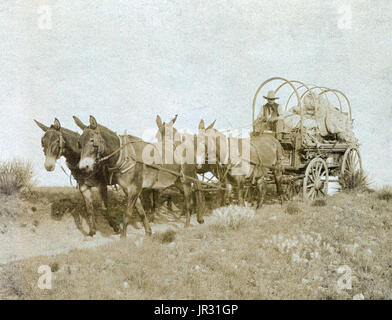 Die Chuckwagon ist Charles Goodnight, ein Texas Rancher zugeschrieben, die das Konzept im Jahr 1866 eingeführt. Cattlemen hüteten Vieh in Teilen des Landes, die nicht Eisenbahnen hatten was bedeutete, dass sie für Monate am Stück auf der Straße gefüttert werden mussten. Gute Nacht den Studebaker Wagen, eine dauerhafte Armee Überschuss Wagen geändert, hinzugefügt eine "Chuck Box" auf der Rückseite des Wagens mit Schubladen und Regalen für Stauraum und einen aufklappbaren Deckel auf eine flache Oberfläche zur Verfügung zu stellen. Ein Wasserfass war auch auf dem Wagen befestigt und Leinwand hing unten um Brennholz zu tragen. Ein Kombi-Feld wurde zum Kochen Supplie speichern Stockfoto