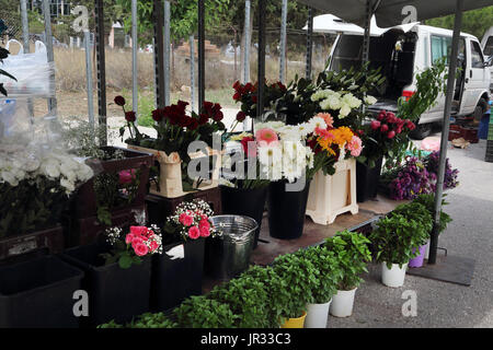 Vouliagmeni Griechenland Blume Stand am Markt am Samstag Stockfoto