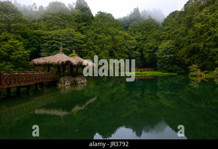 Große Schwester mit Teich und Pavillon in Alishan National Forest im Bezirk Chiayi, Taiwan Stockfoto