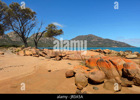 Coles Bay mit Blick auf die Gefahren und Freycinet National Park auf Ost-Küste von Tasmanien, Australien Stockfoto