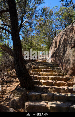 Der Aufstieg zum Wineglass Bay Lookout auf Mount Amos im Freycinet National Park im Osten Küste von Tasmanien, Australien Stockfoto