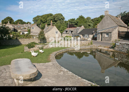 Die Ente Teich und Dorfanger, Wert Matravers, Dorset, England, UK, an einem schönen Sommertag Stockfoto