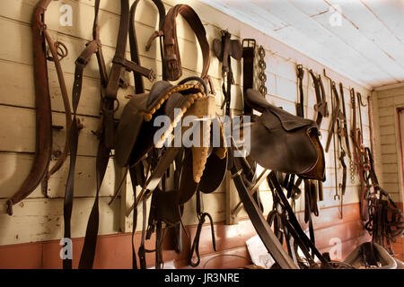 Reitsport Sattlerei mit Klettergurt, Sättel und Zaumzeug an Wand Stockfoto