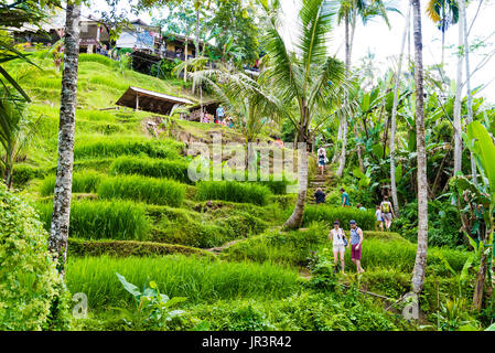 Bali, Indonesien - 9. Mai 2017: Blick über Tegallalang-Reis-Terrassen in der Nähe von Ubud, Bali, Indonesien. Stockfoto