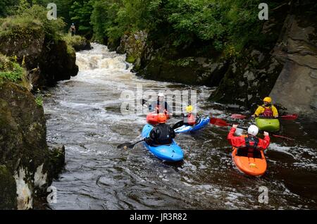 Kajakfahren, Kanufahren auf dem Fluss Teifi bei Cenarth fällt Carmarthenshire Wales Cymru UK GB Stockfoto