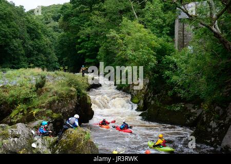 Kajakfahren, Kanufahren auf dem Fluss Teifi bei Cenarth fällt Carmarthenshire Wales Cymru UK GB Stockfoto