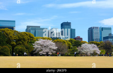 TOKYO, Japan - 12. APRIL 2017 - Paare und Familien in einem Park in Tokyo's Imperial Palace East Gärten sammeln, um die Natur zu genießen Stockfoto