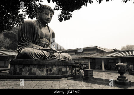 Historische Großen Buddha aus Kamakura Statue an Kotoku-in in Japan Stockfoto