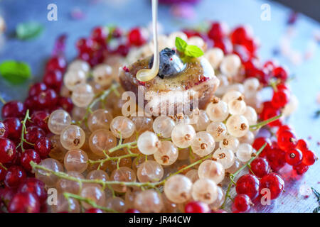 Veganer Käsekuchen, mundgerechte Finger Mini veganen snack Stockfoto