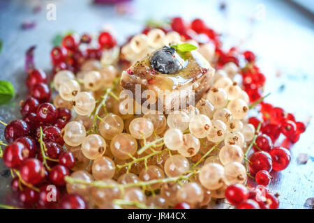 Veganer Käsekuchen, mundgerechte Finger Mini veganen snack Stockfoto