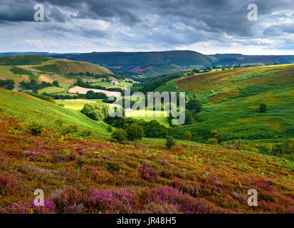 Ein Blick auf die farbenprächtige Landschaft von Clwyd, North Wales, Vereinigtes Königreich Stockfoto