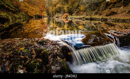 Ein Wehr, erstellen ein Spiegelbild der Herbstfarben auf dem Fluß Teign in der Nähe von Castle Drogo in Dartmoor National Park, Devon, England, UK. Stockfoto