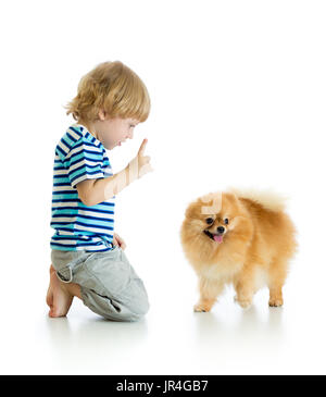 Kind junge Training Spitz Hund. Isoliert auf weißem Hintergrund. Stockfoto