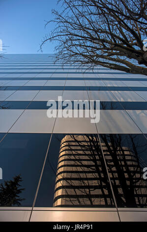 Metropolitan Building Downtown Seattle abstrakte Ansichten des Gebäudes und Glasfenster mit Baumreflexen Stockfoto