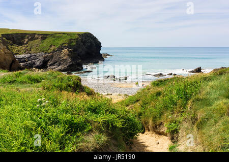 Pfad zum Dollar Cove Strand an der Gunwalloe, Halbinsel Lizard, Cornwall, UK Stockfoto