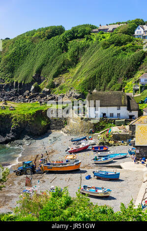 Cadgwith Cove Dorf und Strand mit Angeln Boote, Halbinsel Lizard, Cornwall, UK im Sommer Stockfoto