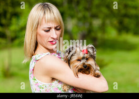Hund Yorkshireterrier mit rotem Band spielt im Garten mit blonden Frau Stockfoto