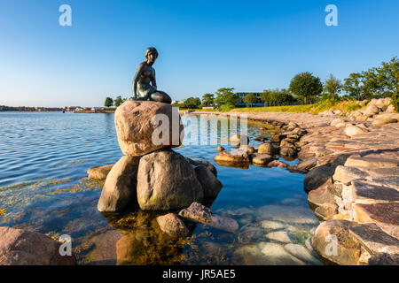 Die berühmte Statue der kleinen Meerjungfrau im Hafen von Kopenhagen Dänemark Stockfoto