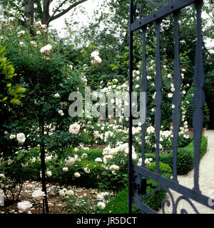 Offenes Tor zum Rosengarten Stockfoto