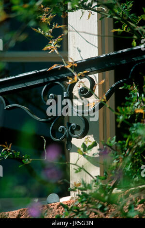Pflanzen von Geländer Stockfoto