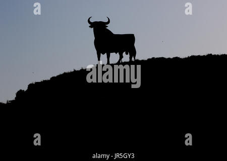 Die fuengirola Osborne Stier Stockfoto