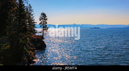 Bergsee. einer Kiefer Silhouette. Am frühen Morgen, Sonnenaufgang, Dämmerung. nebligen Bergen. Yellowstone Nationalpark. Landschaft. Stockfoto