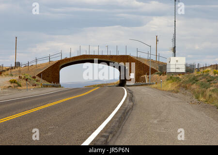 Brücke über die Autobahn für die Migration der Tiere in Idaho Stockfoto