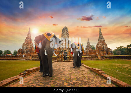 Im Wat Watthanaram Tempel Ayuthaya Historical Park, einem UNESCO-Weltkulturerbe, Thailand Elefanten Stockfoto