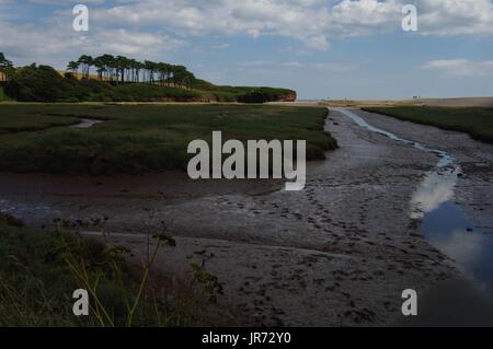 Ebbe auf dem Otter Mündung, Budleigh Salterton, Devon, Vereinigtes Königreich Stockfoto