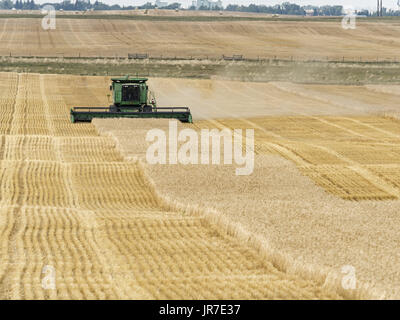 Warner, Alberta, Kanada. 27. August 2016. Ein Bauer mit einem John Deere Mähdrescher erntet ein Feld von Weizen. Bildnachweis: Bayne Stanley/ZUMA Draht/Alamy Live-Nachrichten Stockfoto